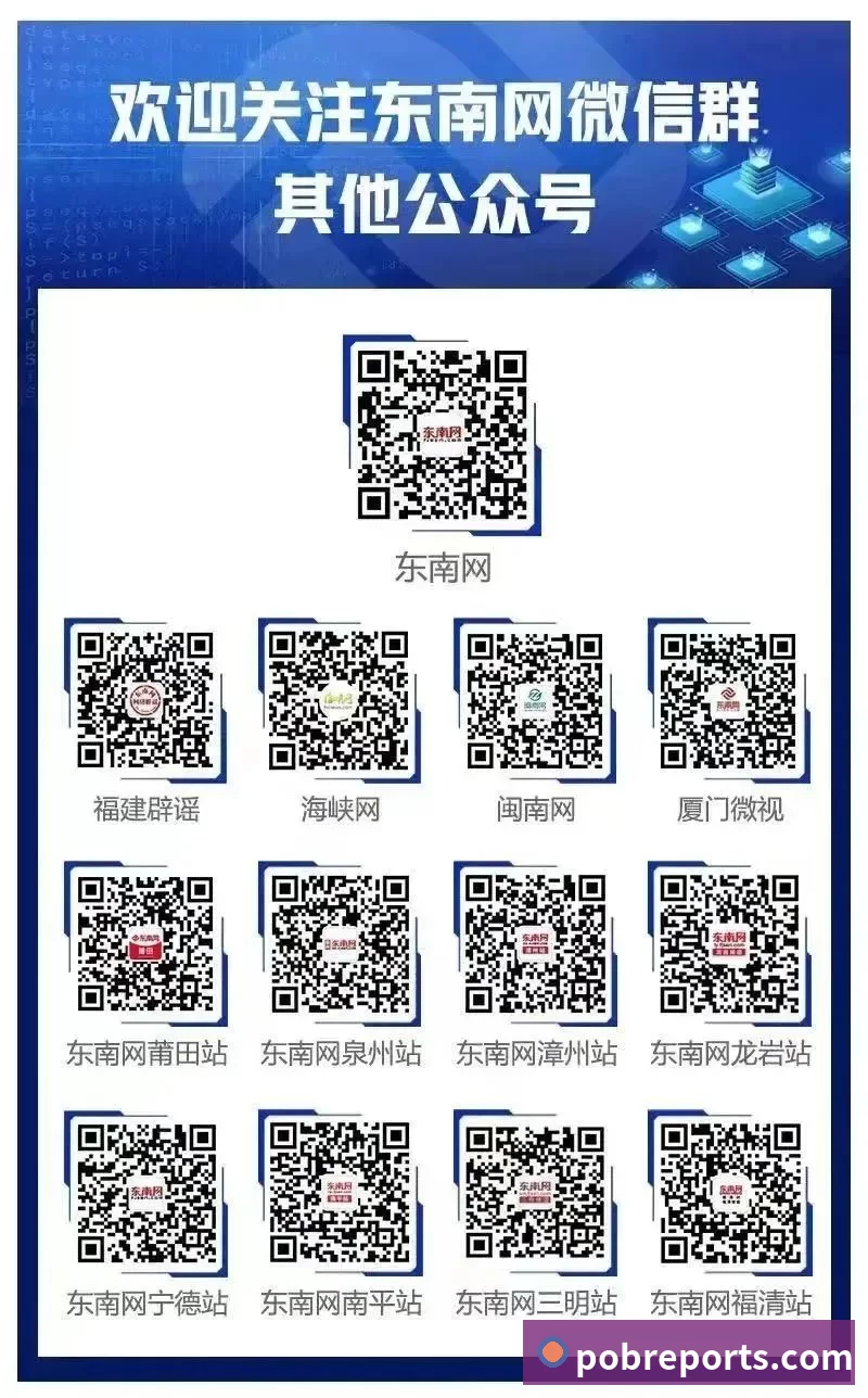 互动解说服务
